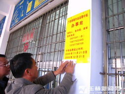 玉林市多措并举破局香蕉销售难，全力守护蕉农“钱袋子”