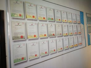 枫华情谊 一场别开生面的小学同学聚会销售及维护记